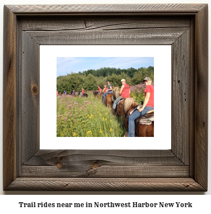 trail rides near me in Northwest Harbor, New York